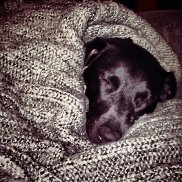 Meet your Posher, Michael - Picture 1 of 1